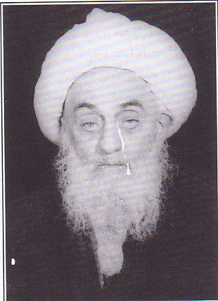 آية اللَّه العظمى آقاى حاج شيخ مجد الدين (مجد العلماء) نجفى